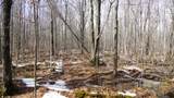 40+/- AC Kline Rd Acres - Photo 5