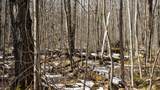 40+/- AC Kline Rd Acres - Photo 6