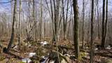 40+/- AC Kline Rd Acres - Photo 7