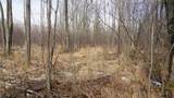 40+/- AC Kline Rd Acres - Photo 8