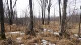 40+/- AC Kline Rd Acres - Photo 9