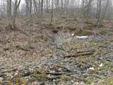 24503 Livingston Road - Photo 43