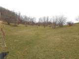 24503 Livingston Road - Photo 7