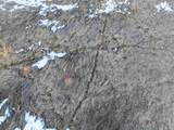 000 Norway Avenue - Photo 14