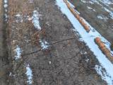 000 Norway Avenue - Photo 18