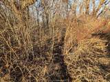 000 Norway Avenue - Photo 24