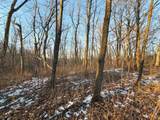 000 Norway Avenue - Photo 29