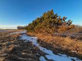 000 Norway Avenue - Photo 39