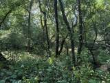 Lot 10 Murphy Road - Photo 10