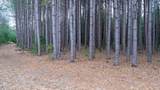 255.45 Ac Dover Drive - Photo 2