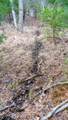 255.45 Ac Dover Drive - Photo 20