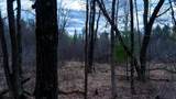 255.45 Ac Dover Drive - Photo 22