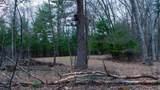 255.45 Ac Dover Drive - Photo 31