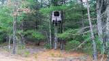 255.45 Ac Dover Drive - Photo 4