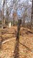 255.45 Ac Dover Drive - Photo 40