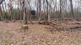 255.45 Ac Dover Drive - Photo 42