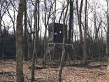 255.45 Ac Dover Drive - Photo 46