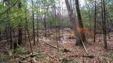 255.45 Ac Dover Drive - Photo 47