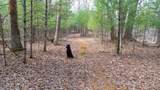 255.45 Ac Dover Drive - Photo 48