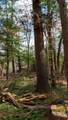 255.45 Ac Dover Drive - Photo 54