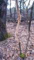 255.45 Ac Dover Drive - Photo 57