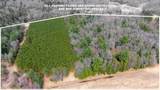 255.45 Ac Dover Drive - Photo 58