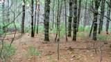 255.45 Ac Dover Drive - Photo 6