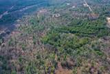 255.45 Ac Dover Drive - Photo 68
