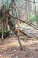 255.45 Ac Dover Drive - Photo 70