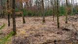 Lot 1 14 Ac Dover Drive - Photo 11