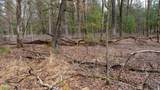 Lot 1 14 Ac Dover Drive - Photo 12