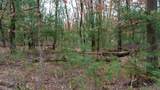 Lot 1 14 Ac Dover Drive - Photo 13