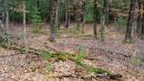Lot 1 14 Ac Dover Drive - Photo 17