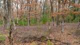 Lot 1 14 Ac Dover Drive - Photo 19