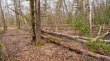 Lot 1 14 Ac Dover Drive - Photo 23