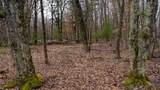Lot 1 14 Ac Dover Drive - Photo 6