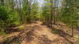 Lot 2 +/-43 Ac Dover Drive - Photo 13