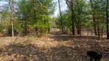 Lot 2 +/-43 Ac Dover Drive - Photo 14