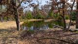Lot 2 +/-43 Ac Dover Drive - Photo 15