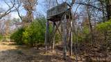 Lot 2 +/-43 Ac Dover Drive - Photo 17