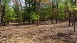 Lot 2 +/-43 Ac Dover Drive - Photo 19