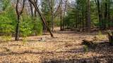 Lot 2 +/-43 Ac Dover Drive - Photo 20