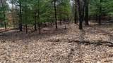 Lot 2 +/-43 Ac Dover Drive - Photo 22