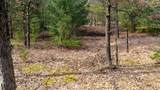 Lot 2 +/-43 Ac Dover Drive - Photo 26