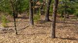 Lot 2 +/-43 Ac Dover Drive - Photo 27