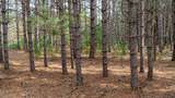Lot 2 +/-43 Ac Dover Drive - Photo 30