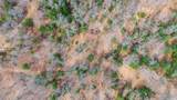 Lot 2 +/-43 Ac Dover Drive - Photo 8