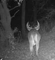 S7300 & S7304 Sandusky Road - Photo 75
