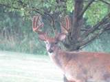 S7300 & S7304 Sandusky Road - Photo 82