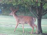 S7300 & S7304 Sandusky Road - Photo 83